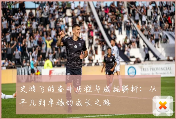 史鸿飞的奋斗历程与成就解析：从平凡到卓越的成长之路