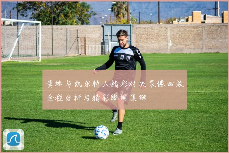 黄蜂与凯尔特人精彩对决录像回放全程分析与精彩瞬间集锦