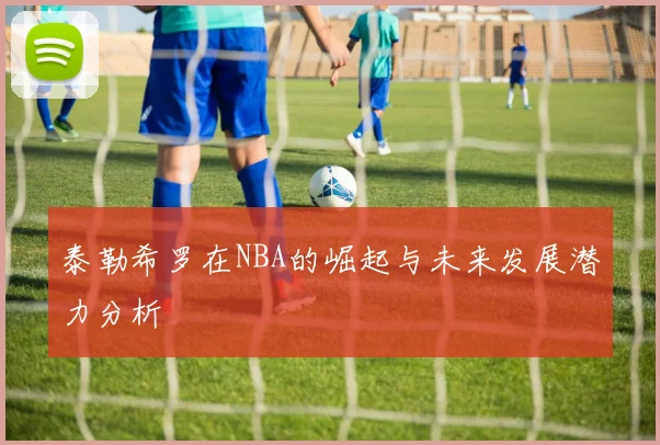 泰勒希罗在NBA的崛起与未来发展潜力分析