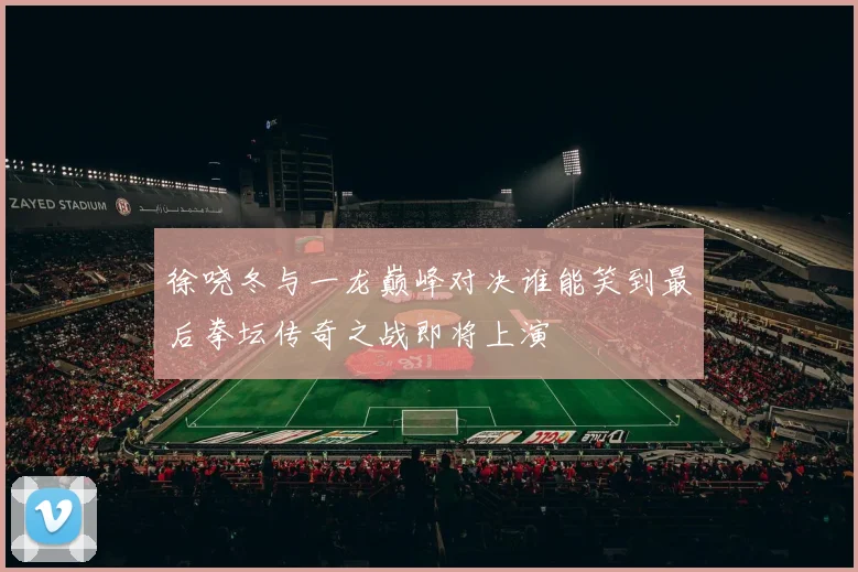徐哓冬与一龙巅峰对决谁能笑到最后拳坛传奇之战即将上演