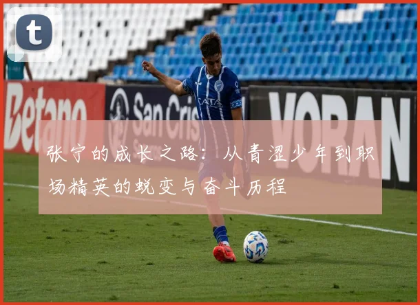 张宁的成长之路：从青涩少年到职场精英的蜕变与奋斗历程